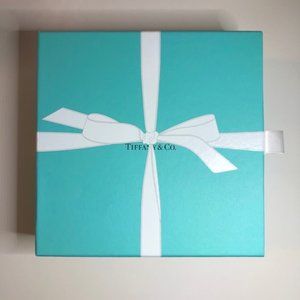 Tiffany & Co. Empty Large Storage Box T&Co